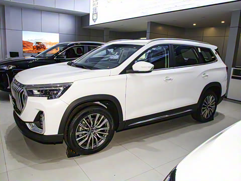 2024�� 1.6TD DCT���� 5��