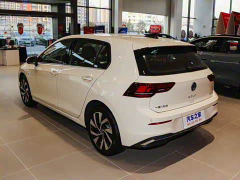 2025�� 300TSI Pro