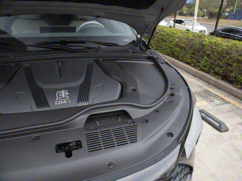 2025�� �Ǽݰ� DM-i 115KM �����