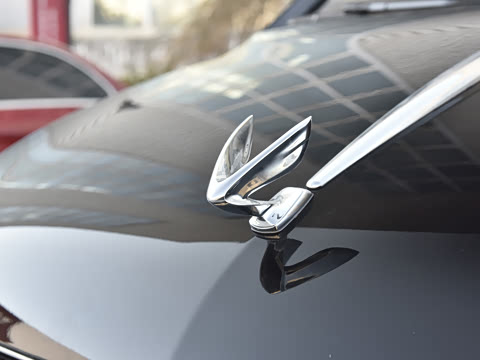 2025�� 2.0T �����֡�Ӯ��