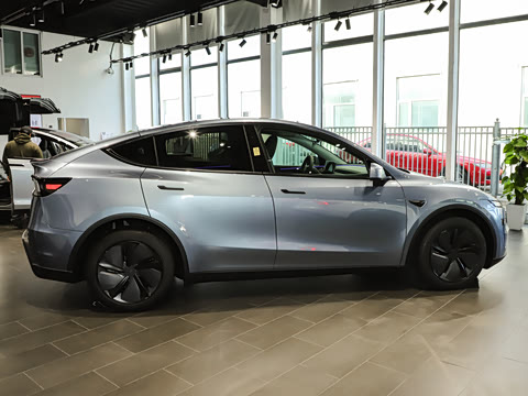 2025�� �������� �׷���