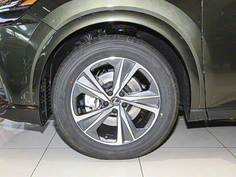 2025�� 300 ����������