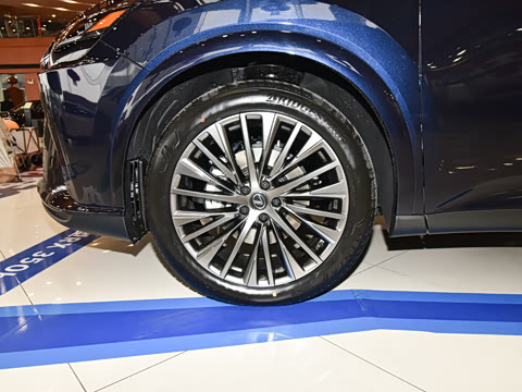 2025�� 350h ����������