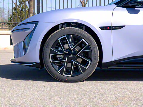 2025�� Max���̰�