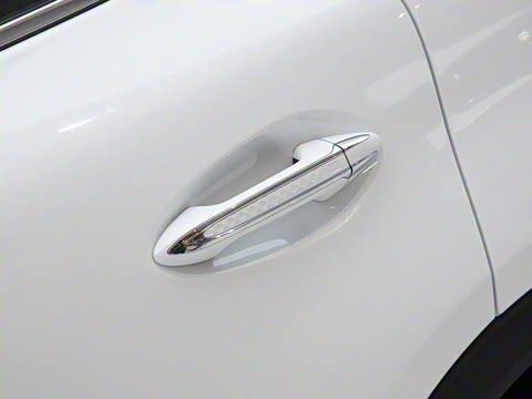 2025�� 2.0T ��������Pro��