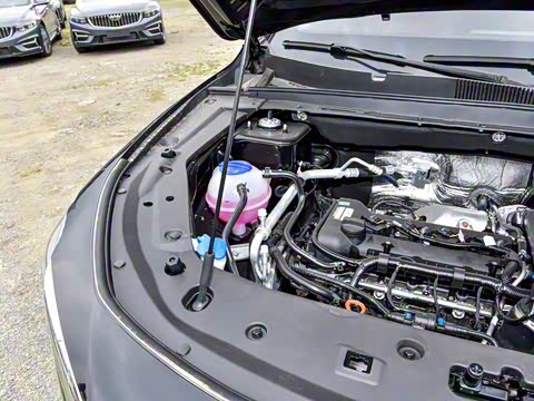 2024�� �ھ��� 1.5T �ֶ��ھ� 5��