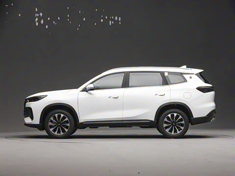 2025�� 290TGDI DCT�˷�� 