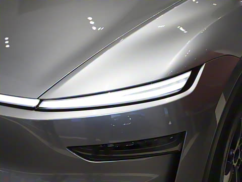 2025�� ����������