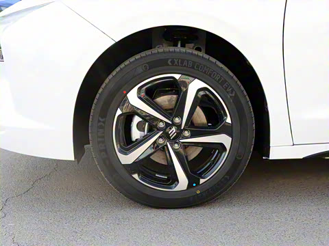 2025�� ���05 ������