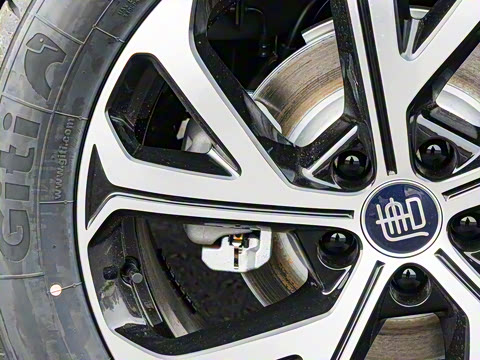 2025�� �Ǽݰ� DM-i 115KM �콢��