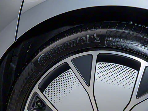 2025�� EV ����������