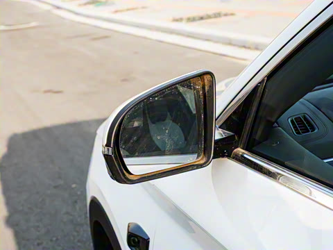 2025�� DM-i �Ǽݰ� 112KM �����