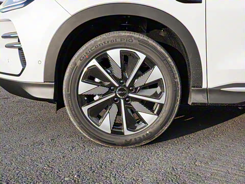 2025�� DM-i �Ǽݰ� 112KM �����