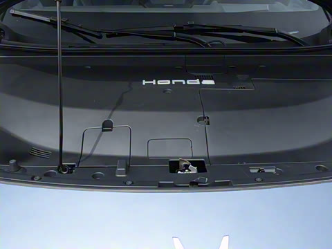 2025�� ����������Max