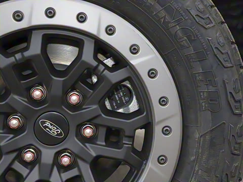 2025�� ɳ���ر�� ����