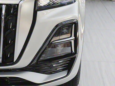 2025�� 2.0T ��������Pro��