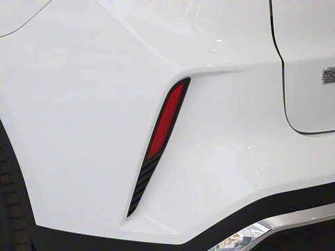 2025�� �������캽��