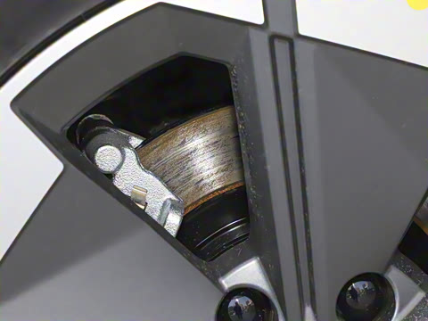 2025�� �������캽��