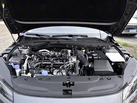 2025�� ���� 1.5T ���ܰ�