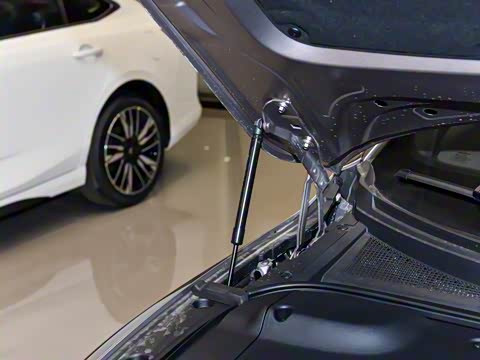 2025�� ��������� 525������