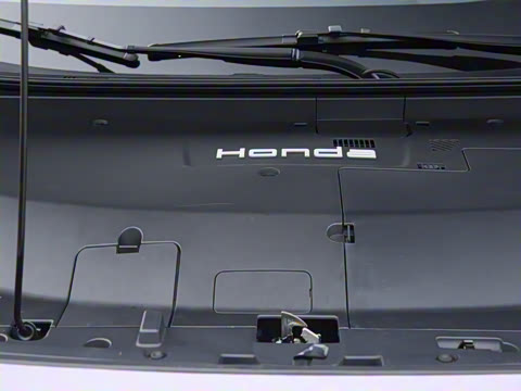 2025�� ����������Max