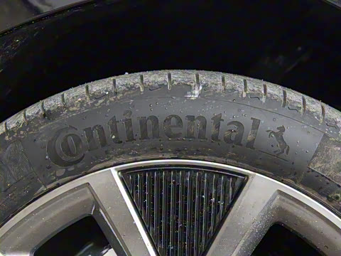 2025�� ����������Max