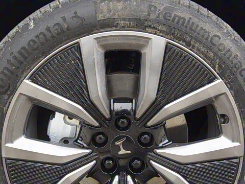 2025�� ����������Max