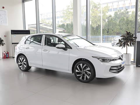 2025�� �Ŀ� 300TSI Pro