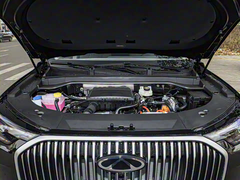 2025�� 1.5T 106KM������ 7�� �������