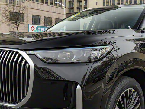 2025�� 1.5T 106KM������ 7�� �������