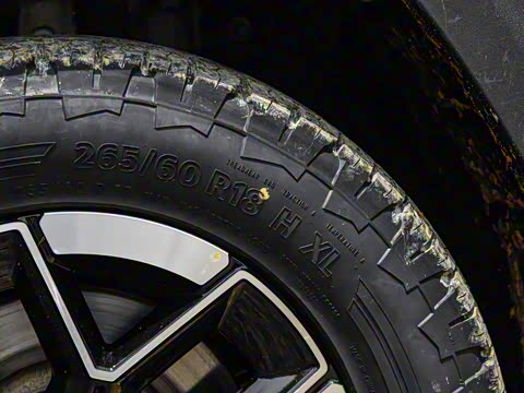 2024�� ����������