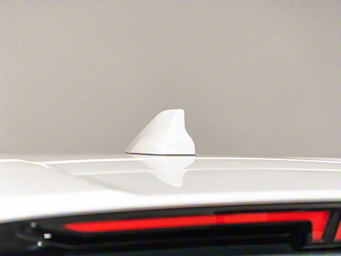 2024�� �ھ��� 390T �������Ӱ� 5��