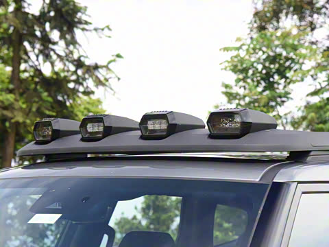 2024�� ����������