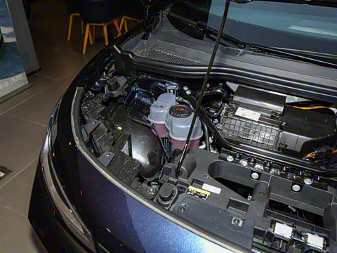 2025�� ������PURE+��