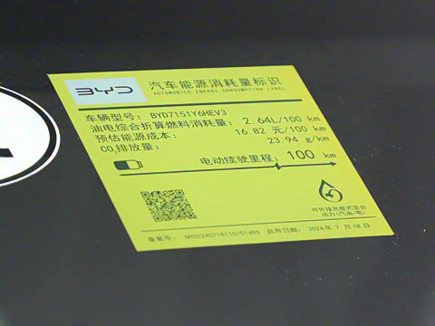 2025�� �Ǽݰ� DM-i 1.5L 125km �����