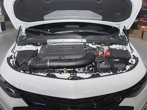 2023�� Redline 2.0T �񶯰�