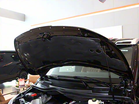 2025�� VS600MX ����������