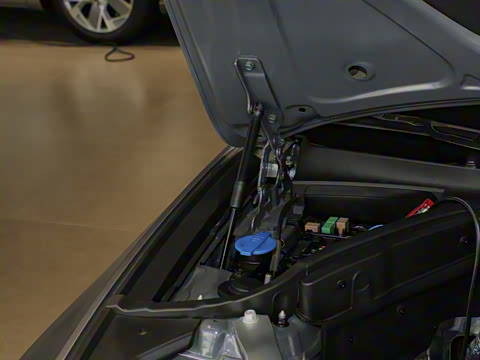 2024�� 2.0T ���Ͱ�����콢�� Shooting Brake