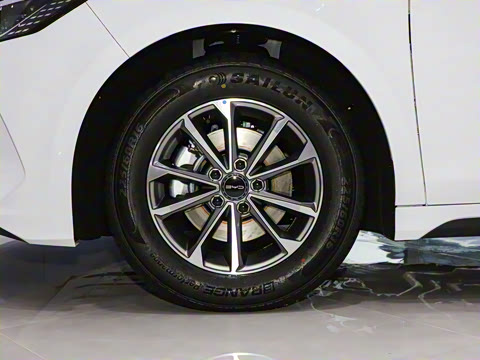 2024�� DM-i 55KM �캽��ҫ��