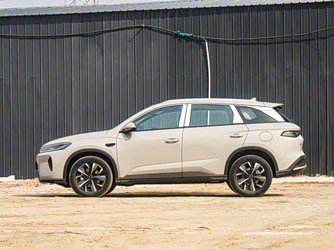 2025�� DM-i �Ǽݰ� 115KM������