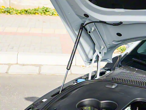 2025�� DM-i �Ǽݰ� 125KM��Ӣ��