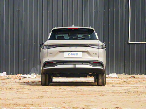 2025�� DM-i �Ǽݰ� 115KM������