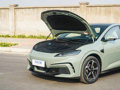 2025�� �Ǽݰ� 505���˰�