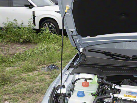 2025�� 270T DCT Ӱ��R-Style������