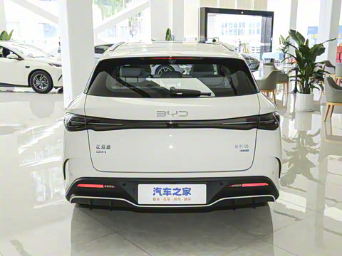 2025�� DM-i 80KM�����