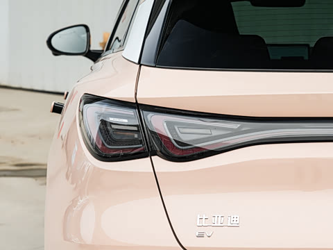 2025�� �Ǽݰ� 605���˰�