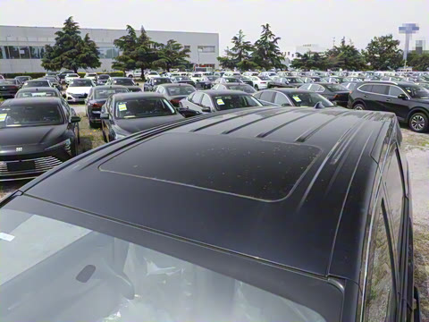 2025�� ½�� ������ 7��