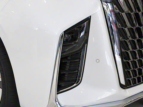 2025�� 2.0T �Ǻ�������