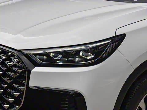 2025�� 290TGDI DCT�˷�� 7��