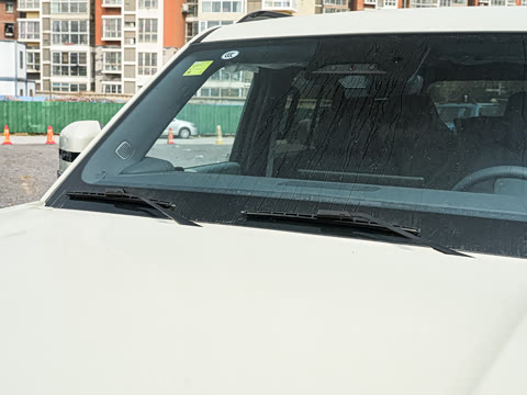 2025�� �����Ǽ�Max��